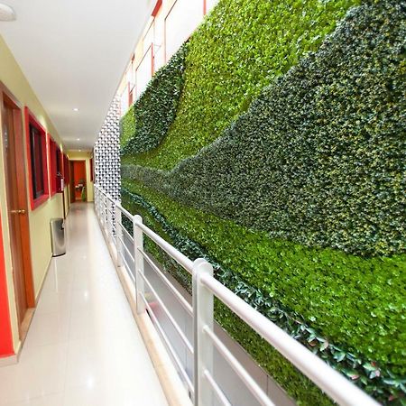 Hotel Lira - Solo Adultos Mexico City Exteriör bild
